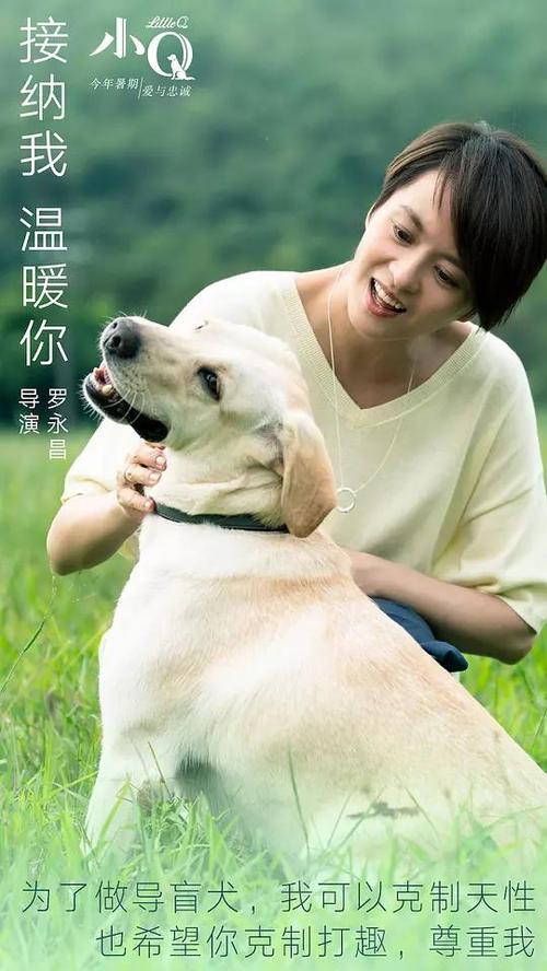 南方卫斯理大学文凭毕业证哪里可以做假的